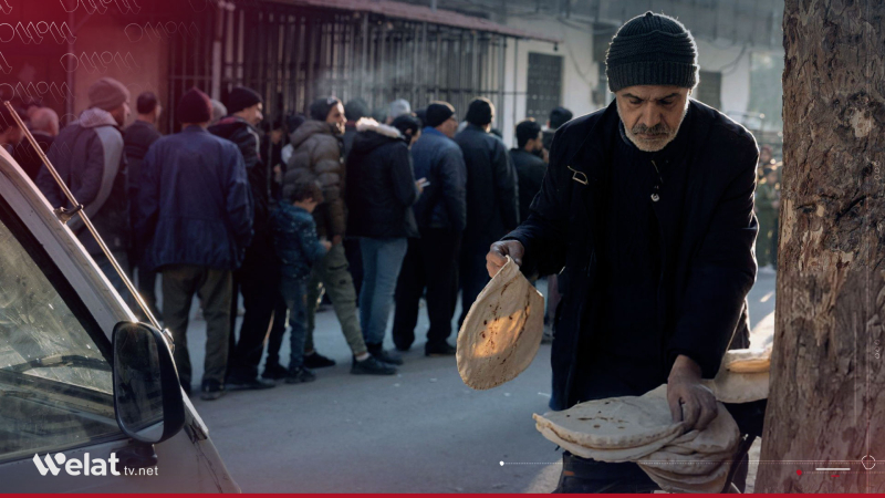 FAO: 7.2 Million People in Syria Face Acute Food Insecurity
