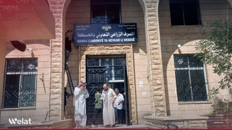 المصرف الزراعي في الحسكة يباشر توزيع فواتير مستحقات القمح للفلاحين