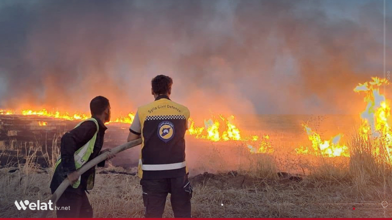 Berevaniya sivîl a Sûriyê: 12 şewat li Hesekê hatin tomarkirin
