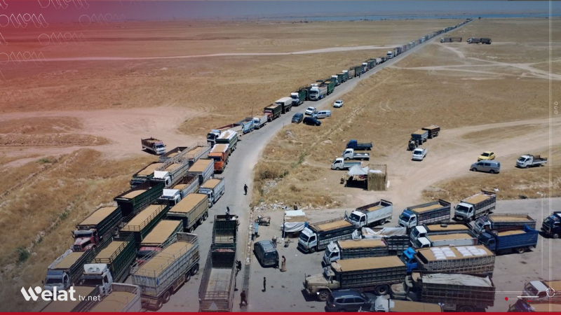 Nêzîkî milyonekê li Cizîrê.. Zêdetirî 2 milyon ton genim li Sûriyê hatine wergirtin Nêzîkî milyonekê li Cizîrê.. Zêdetirî 2 milyon ton genim li Sûriyê hatine wergirtin