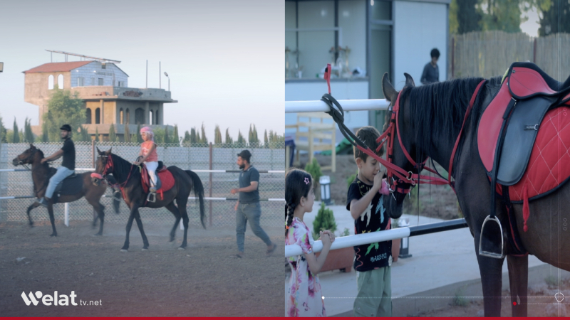 Qamishlo Opens Equestrian Club Attracting Children and Adults