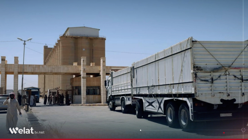 بدء استلام محصول القمح في مراكز الحبوب بالحسكة 