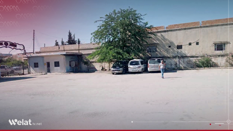 Hejmarek ajokarên foksan ên hêla Dêrik – Qamişlo mangirtin ragihand