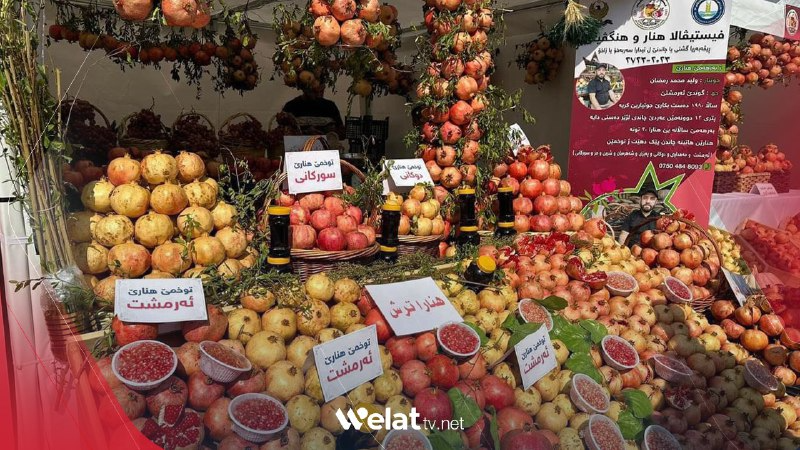 Zaho'da 2. Yerel Nar ve Bal Festivali başladı